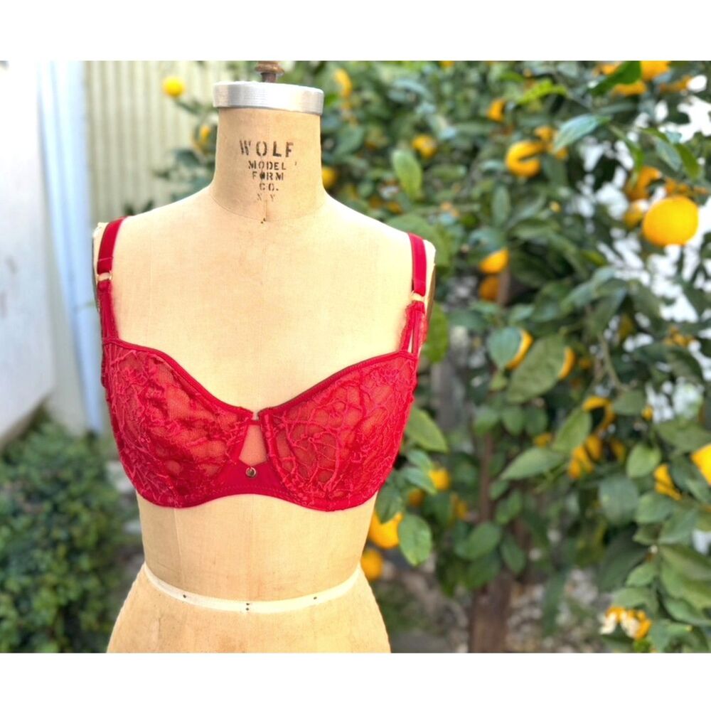 Chantelle France Segur Red Floral Lace Adjustable Demi Underwire Bra Size 34 DD